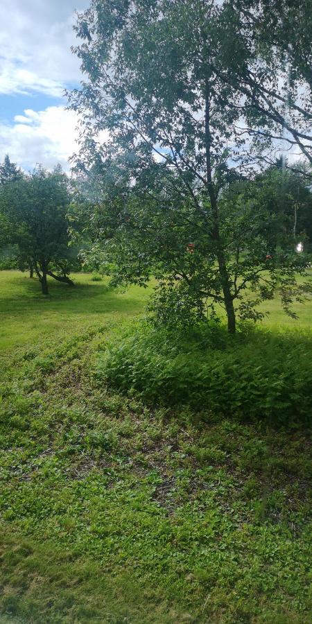 Vojakkala Vandrarhem Haparanda  Eksteriør bilde